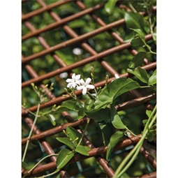 Apácarács kihúzható 50 cm x 1,5 m