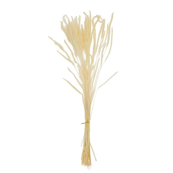 Szárazvirág árpa csokor 60 cm