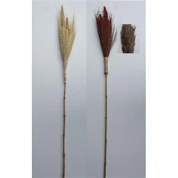 Dekoráció bambusz csokor 7x7x223 cm 2 féle