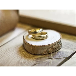 Fa ültetőkártya, átmérő 4,5-6,5 cm S/20