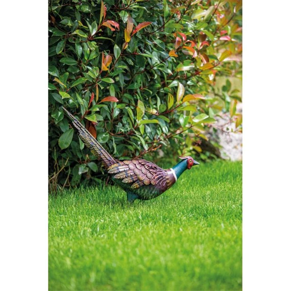 Fácánkakas 54x15x46 cm
