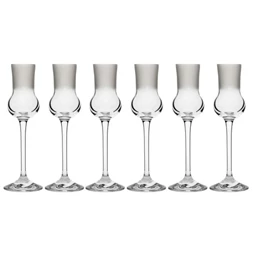 Grappa pohár Swarovski kristállyal 70 ml 18,8x6 cm S/6