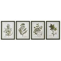Kép botanikus, keretes 30x2,5x40 cm 4 féle