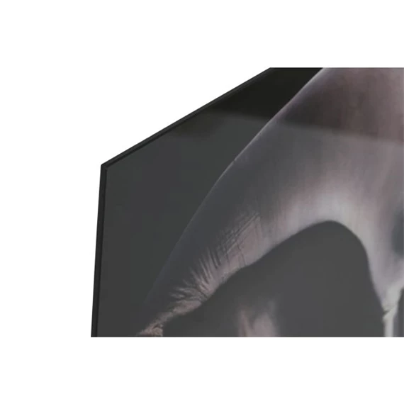 Kép edzett üveg, elefántok 150x0,4x100 cm