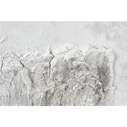 Kép fák 100x3,8x100 cm 2 féle