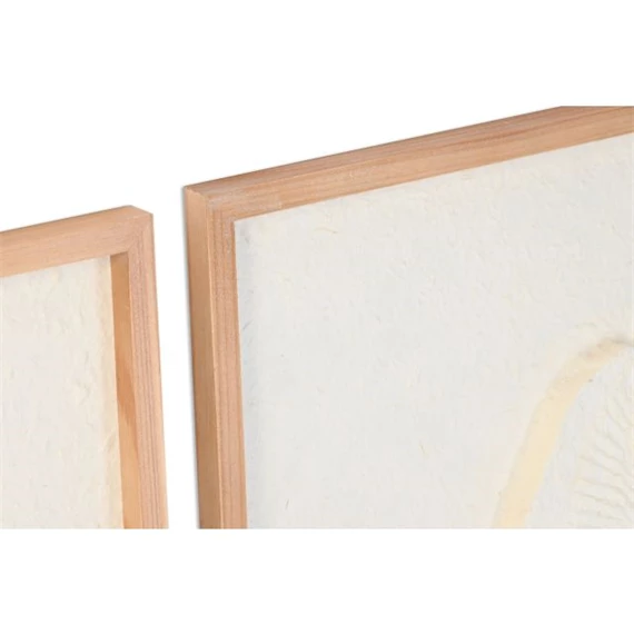 Kép kagyló 50x2x50 cm 6 féle