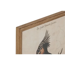 Kép keretes, madár 40x2x50 cm 4 féle