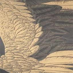 Kép keretes 63x3,5x53 cm