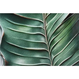 Kép keretes, pálmalevél 80x3,5x120 cm 2 féle