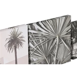 Kép leveles 25x2,5x25 cm 2 féle S/5