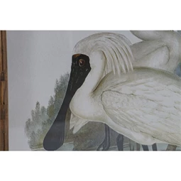 Kép madarak, keretes 45x3x60 cm 4 féle