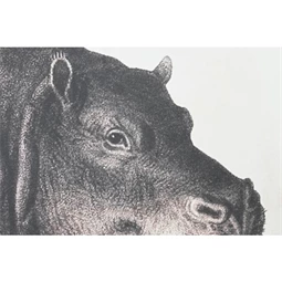 Kép szett víziló 180x4x120 cm S/3