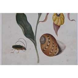 Kép virágos 50x2,5x70 cm 4 féle