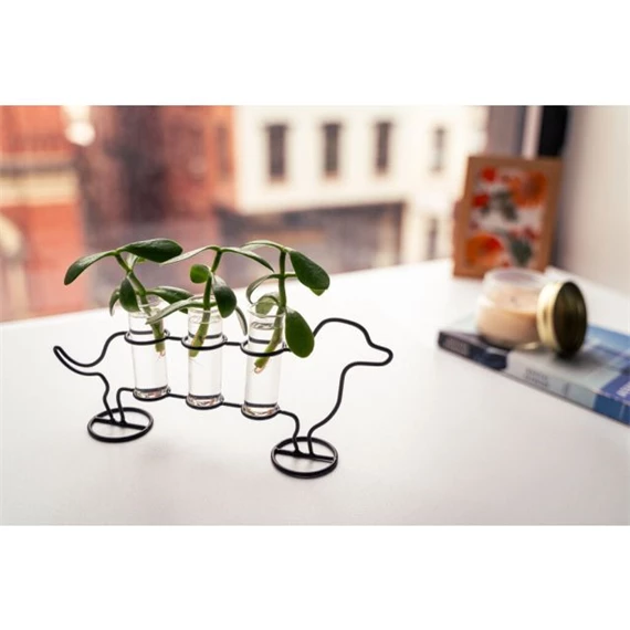 Kutyás váza palántákhoz