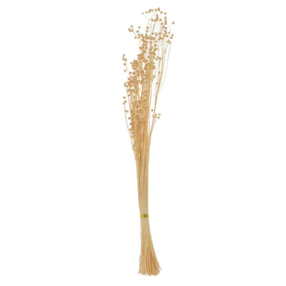 Szárazvirág len csokor 65 cm