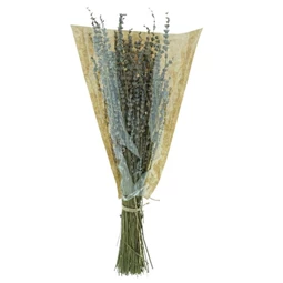 Szárazvirág Levendula csokor 55 cm