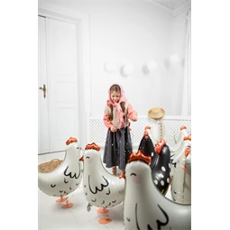 Lufi kakas fólia 48x60 cm mix