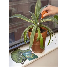 Növényápoló készlet fémdobozban 7,3x10,5x3 cm