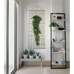 Növényfutattó apácarács 50 cm x 2 m