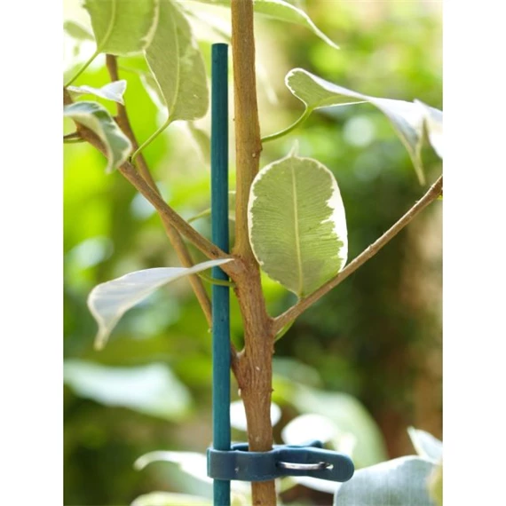 Növénytámasz 40 cm S/25