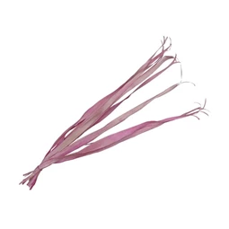 Pálmalevél szárított köteg 80-95 cm S/10