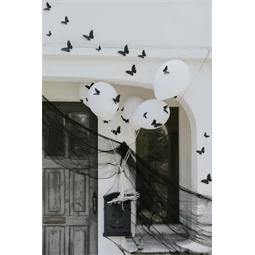 Papír molylepke dekoráció 6-12 cm fekete S/30