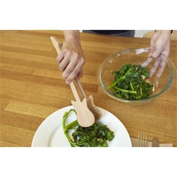 Salátaszedő gitáros