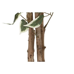 Selyemvirág fikusz cserepes 80x80x180 cm