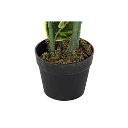 Selyemvirág hevea 40x40x120 cm