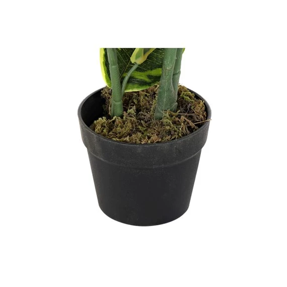 Selyemvirág hevea 40x40x120 cm