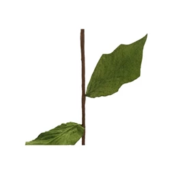 Selyemvirág Mikulásvirág 33x33x67 cm 2 féle