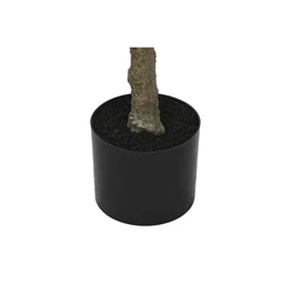 Selyemvirág cserepes 80x80x150 cm