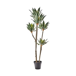 Selyemvirág Dracéna cserepes 165 cm