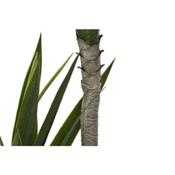 Selyemvirág dracéna cserepes 50x50x150 cm