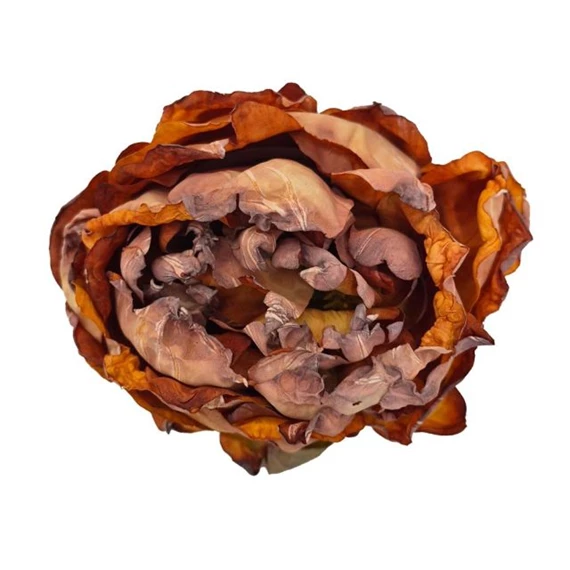 Selyemvirág bazsarózsa virágfej (min.menny. 12) 10 cm
