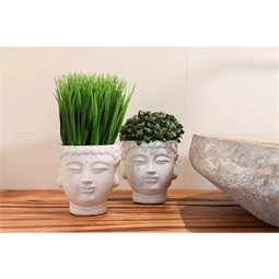 Selyemvirág fej kaspóban 12x12x21,5 cm 2 féle