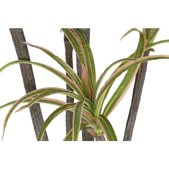 Selyemvirág Fikusz cserepes 82x86x218 cm