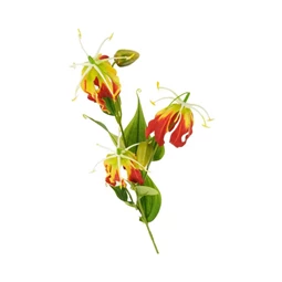 Selyemvirág Gloriosa 84x15x10 cm