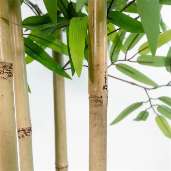 Selyemvirág kaspóban Bambusz 80x80x180 cm