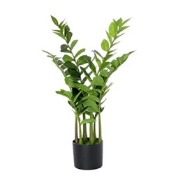 Selyemvirág legénypálma kaspóban 75 cm