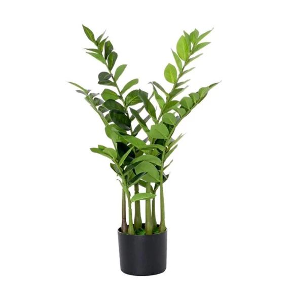 Selyemvirág legénypálma kaspóban 75 cm