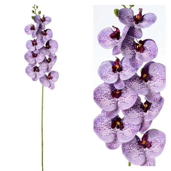 Selyemvirág lepkeorchidea 96 cm