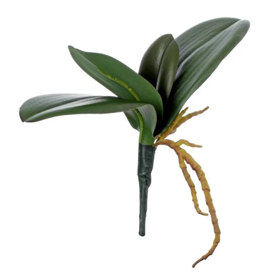 Selyemvirág orchidea levél léggyökérrel, betűzős 25 cm