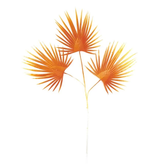 Selyemvirág Pálma levél 70x50x3 cm