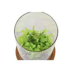 Selyemvirág 12x12x18 cm 2 féle