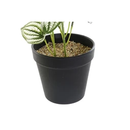 Selyemvirág 13x13x27 cm