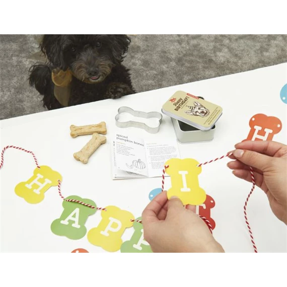 Születésnapi készlet kutyáknak