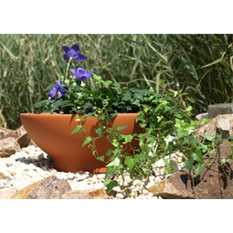 Tál 22 cm
