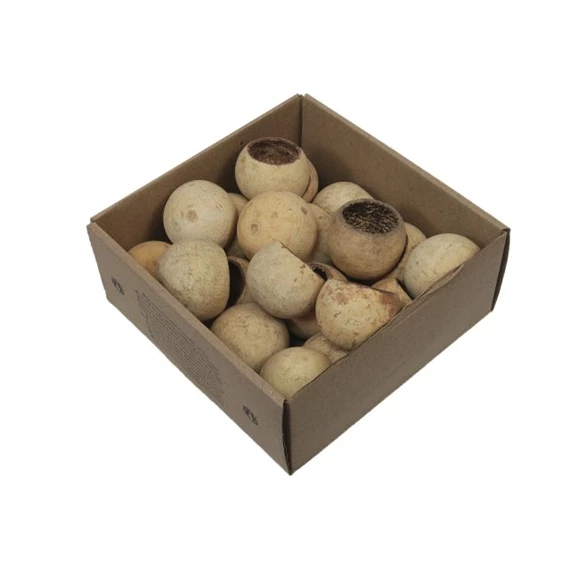 Termés dobozban S/20