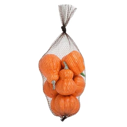 Tök hálóban 11 cm S/6